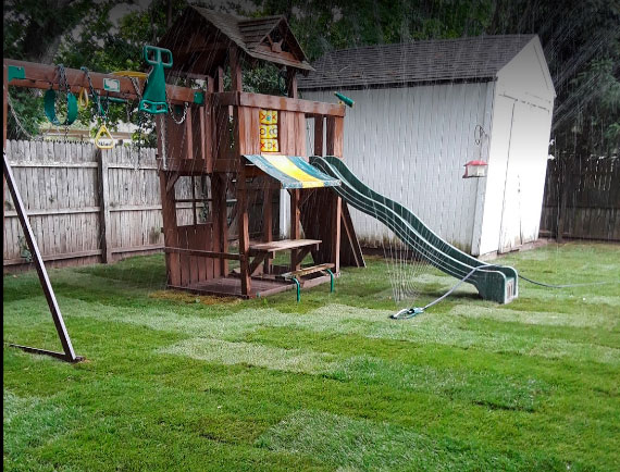 Service - Sprinkler System